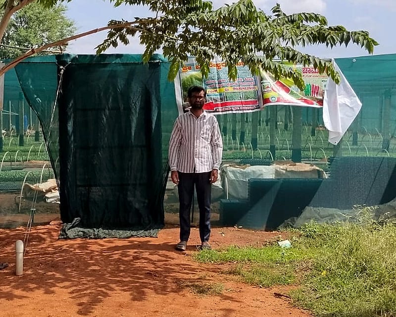 ಗಿರೀಶ್, ನರ್ಸರಿ ಮಾಲೀಕರು, ಶ್ರೀ ಬಸವೇಶ್ವರ ನರ್ಸರಿ